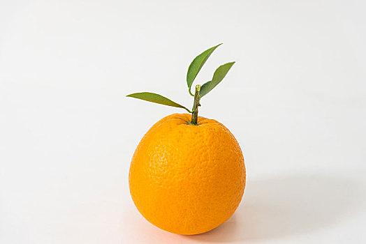 苹果