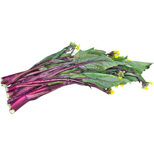 菜心6.jpg